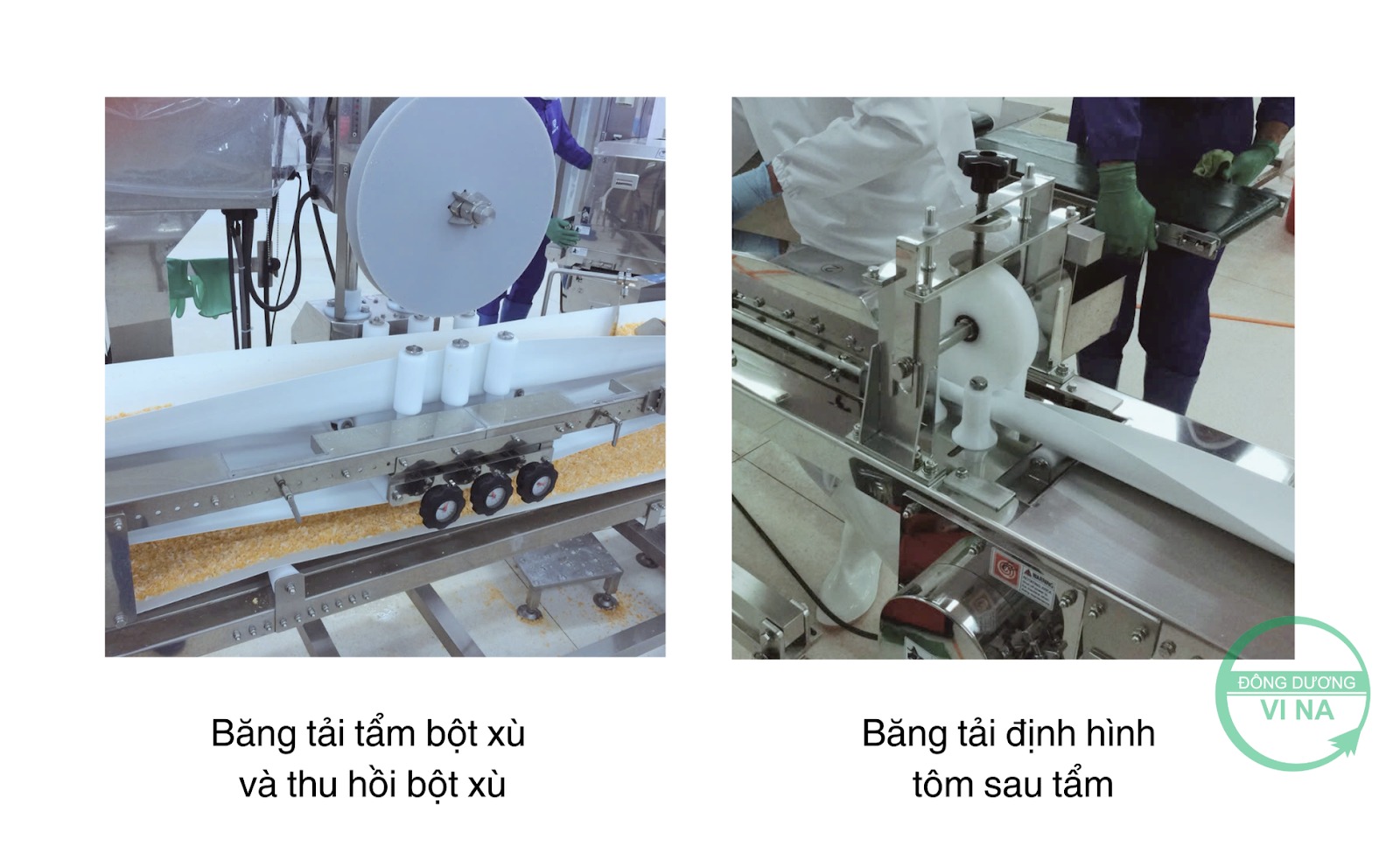 Dây Chuyền Máy Tẩm Bột Thực Phẩm: Nâng Cao Năng Suất, Đảm Bảo Chất Lượng