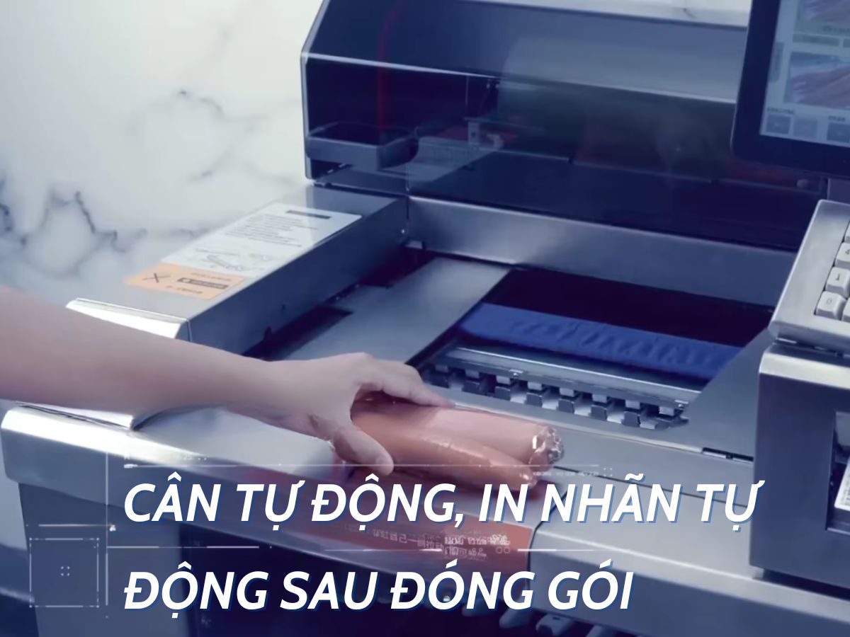 MÁY BAO GÓI, NHÃN DÁN VÀ ĐỊNH LƯỢNG – GIẢI PHÁP TỰ ĐỘNG HÓA HIỆN ĐẠI CHO NGÀNH THỰC PHẨM